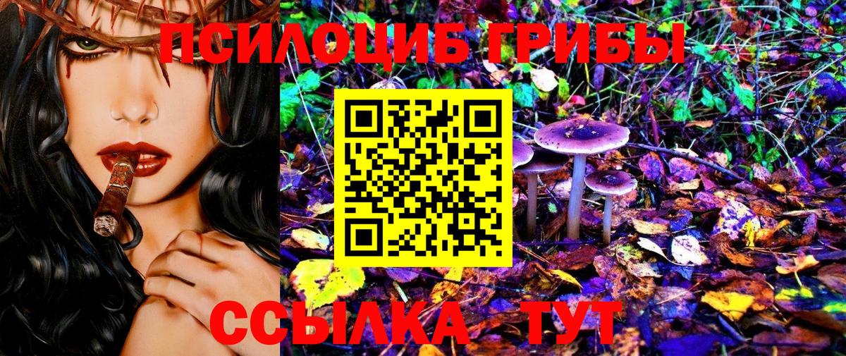 Гагарин  Галлюциногенные грибы мицелий  купить   Вход с VPN 